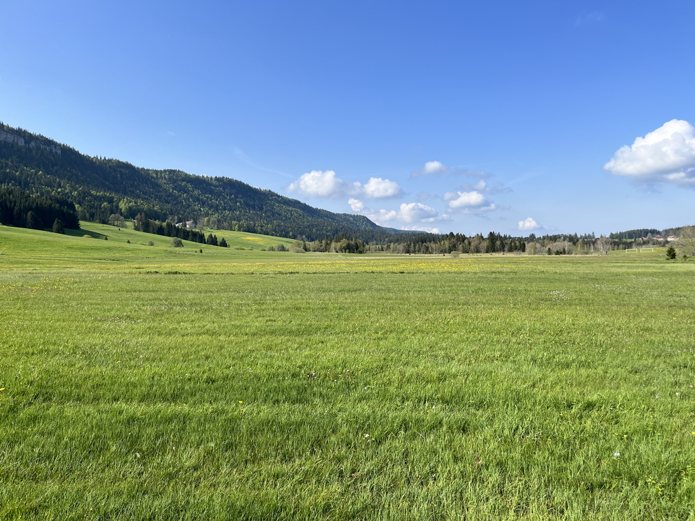 23-05-23 09-42-44 5566